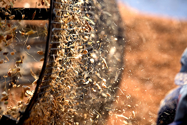 TACTO GRAPHICS LEADING PROFESSIONAL PHOTOGRAPHERS IN KERALA COIR PITH EXPORTERS COCO PEAT PRODUCTS