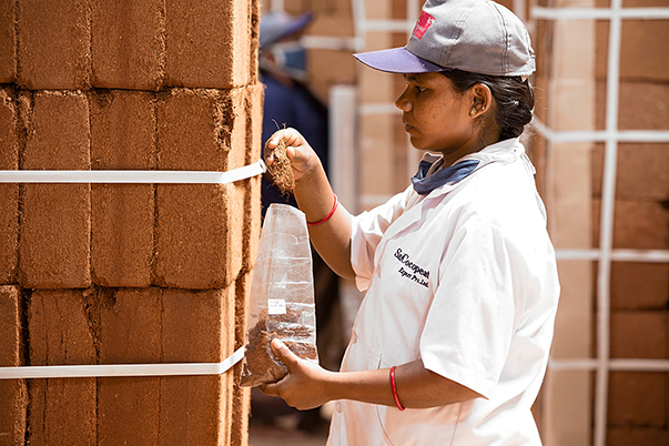 TACTO GRAPHICS LEADING COMMERCIAL PHOTOGRAPHERS IN SOUTH INDIA COIR PITH EXPORTERS COCO PEAT PRODUCTS COCO PEAT DISKS