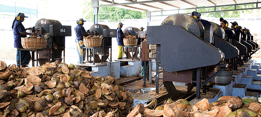 TACTO GRAPHICS LEADING PROFESSIONAL PHOTOGRAPHERS IN INDIA COIR PITH EXPORTERS COCO PEAT PRODUCTS