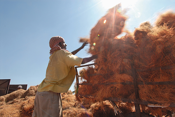 TACTO GRAPHICS LEADING PROFESSIONAL PHOTOGRAPHERS IN KERALA COIR PITH EXPORTERS COCO PEAT PRODUCTS