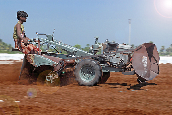 TACTO GRAPHICS LEADING PROFESSIONAL PHOTOGRAPHERS IN INDIA COIR PITH EXPORTERS COCO PEAT PRODUCTS