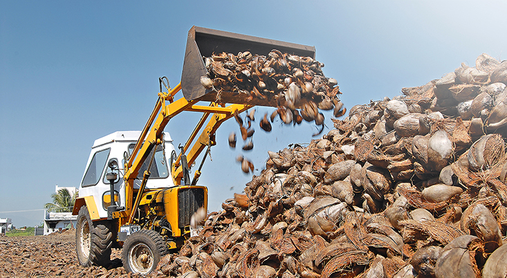 TACTO GRAPHICS LEADING PROFESSIONAL PHOTOGRAPHERS IN INDIA COIR PITH EXPORTERS COCO PEAT PRODUCTS