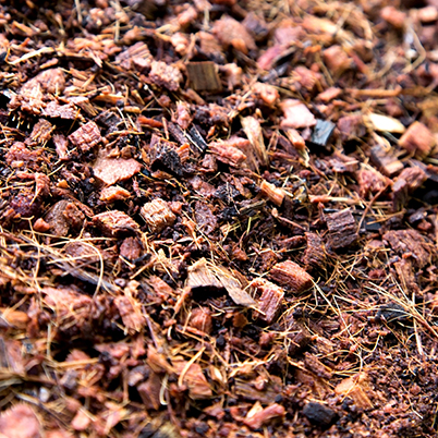 TACTO GRAPHICS LEADING PROFESSIONAL PHOTOGRAPHERS IN KERALA COIR PITH EXPORTERS COCO PEAT PRODUCTS