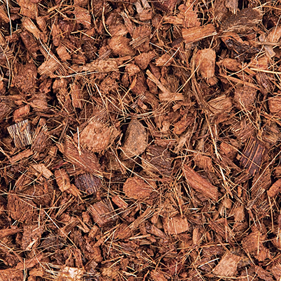 TACTO GRAPHICS LEADING PROFESSIONAL PHOTOGRAPHERS IN KERALA COIR PITH EXPORTERS COCO PEAT PRODUCTS
