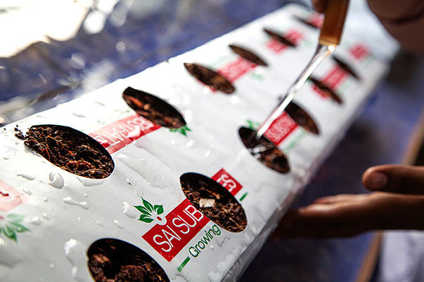 TACTO GRAPHICS LEADING COMMERCIAL PHOTOGRAPHERS IN SOUTH INDIA COIR PITH EXPORTERS COCO PEAT PRODUCTS