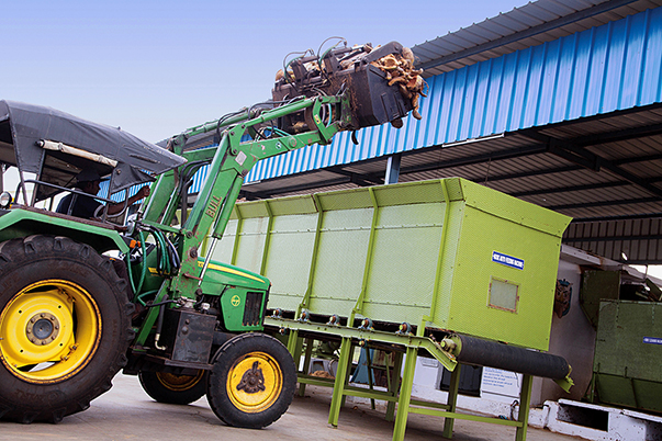 TACTO GRAPHICS LEADING PROFESSIONAL PHOTOGRAPHERS IN TAMILNADU COIR PITH EXPORTERS COCO PEAT PRODUCTS