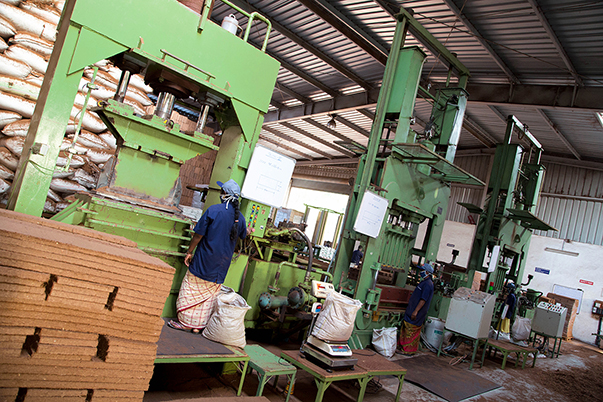 TACTO GRAPHICS LEADING PROFESSIONAL PHOTOGRAPHERS IN INDIA COIR PITH EXPORTERS COCO PEAT PRODUCTS