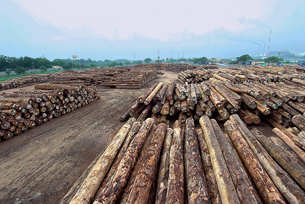 TACTO GRAPHICS PROFESSIONAL PHOTOGRAPHERS COIMBATORE KERALA TAMILNADU SOUTH INDIA TIMBER PHOTOGRAPHY WOOD PHOTOGRAPHY TIMBER YARD INDUSTRIAL PHOTOGRAPHY WOODEN DECKING